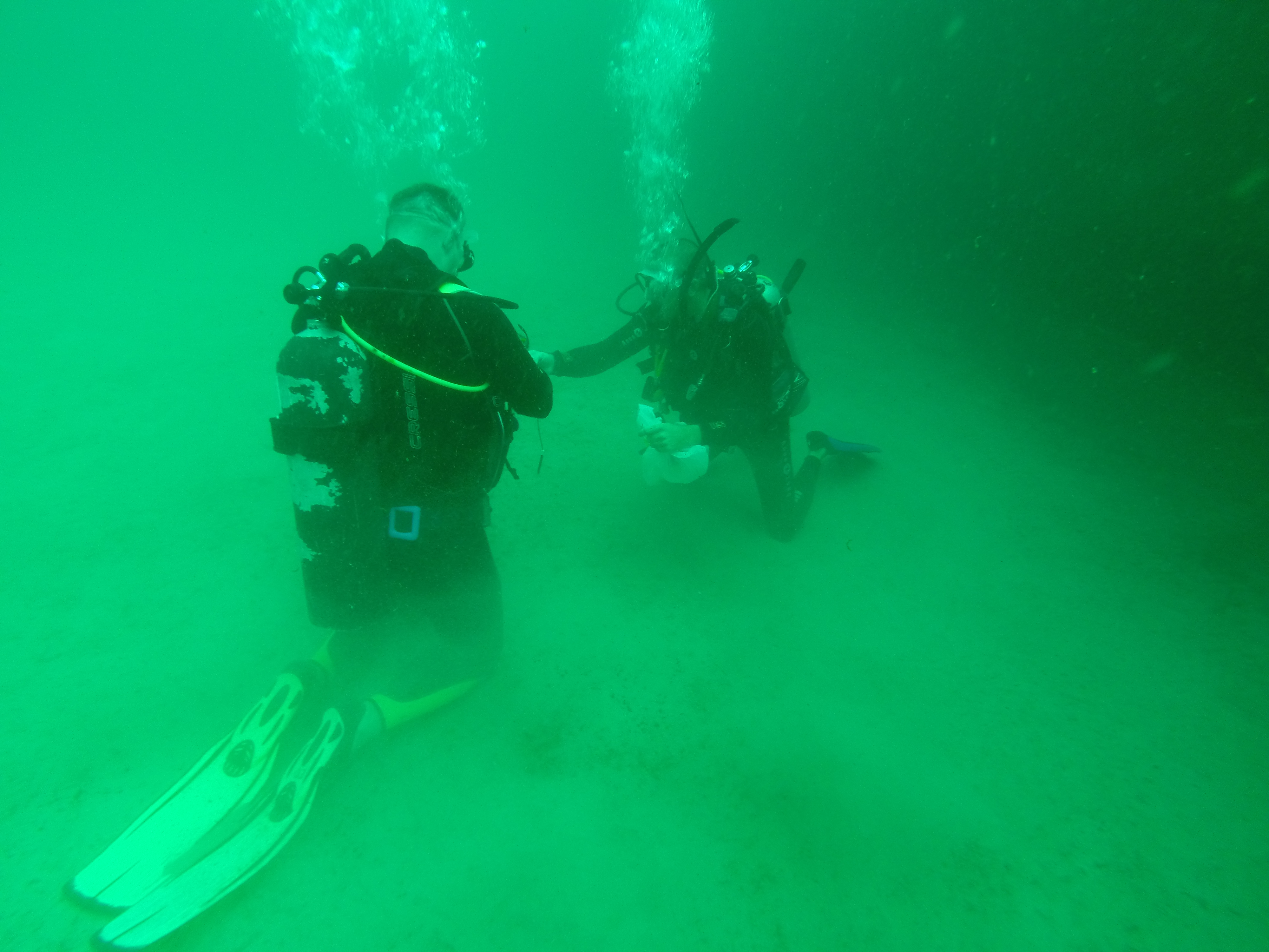 A colleague diver doing deep skills